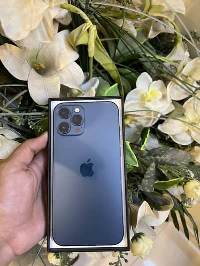 Apple iPhone 12 Pro Max
