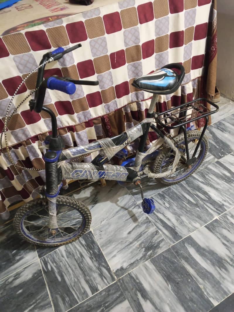 bicycle 2