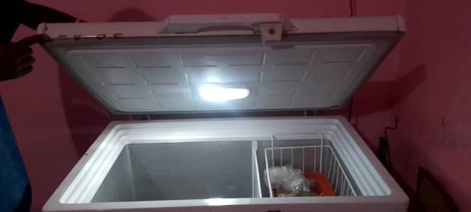 Pel D Freezer Urgent Sale