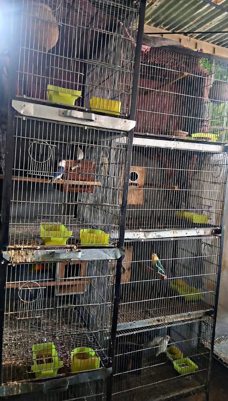 4 portion cages 0