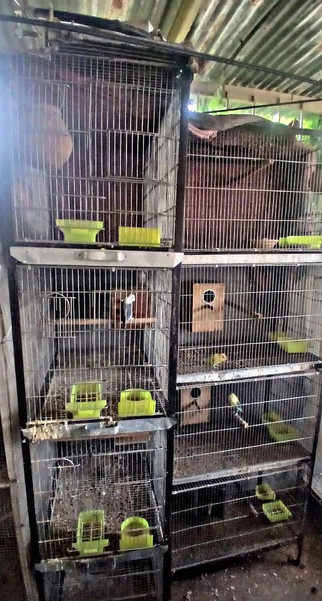4 portion cages 1