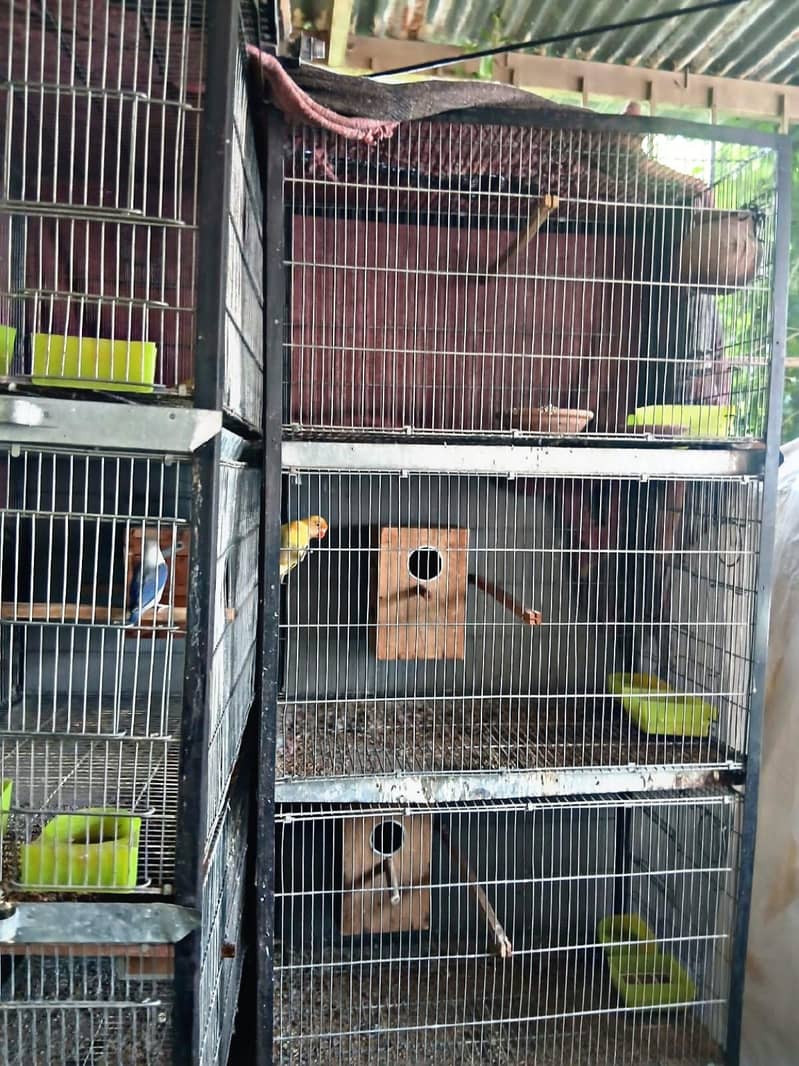 4 portion cages 2