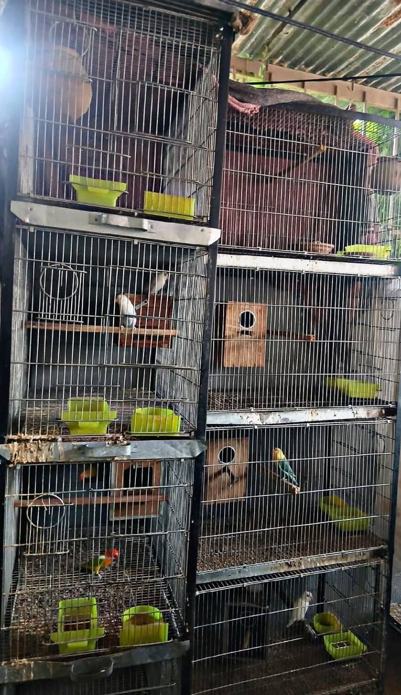 4 portion cages 3