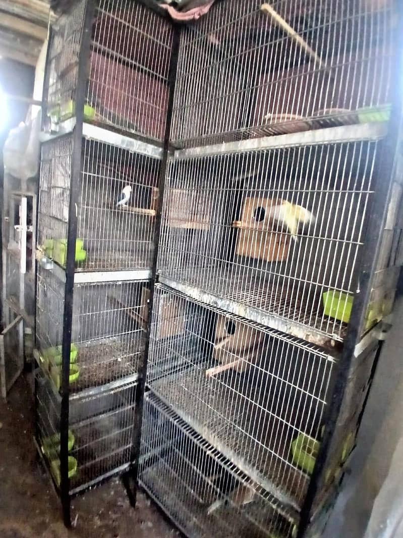 4 portion cages 4