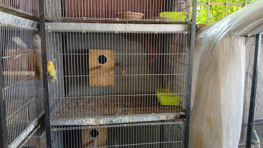 4 portion cages 5