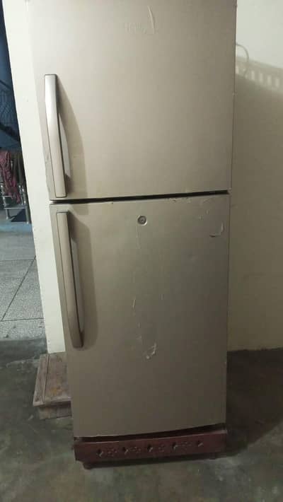 Haier Fridge All ok Muidium Size Golden Color03044032566