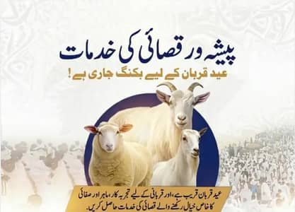 Qasai /0/3/3/3/3/3/8/0/7/3/1