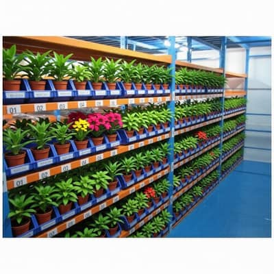 modern plant farming tree setup