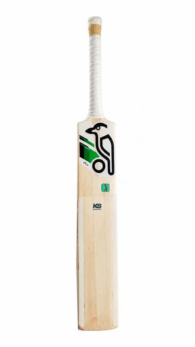 Hard Ball Bat