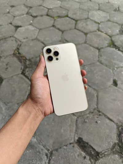 IPhone 12 Pro Max factry unlocked 256 GB
