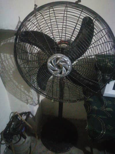Indus fan