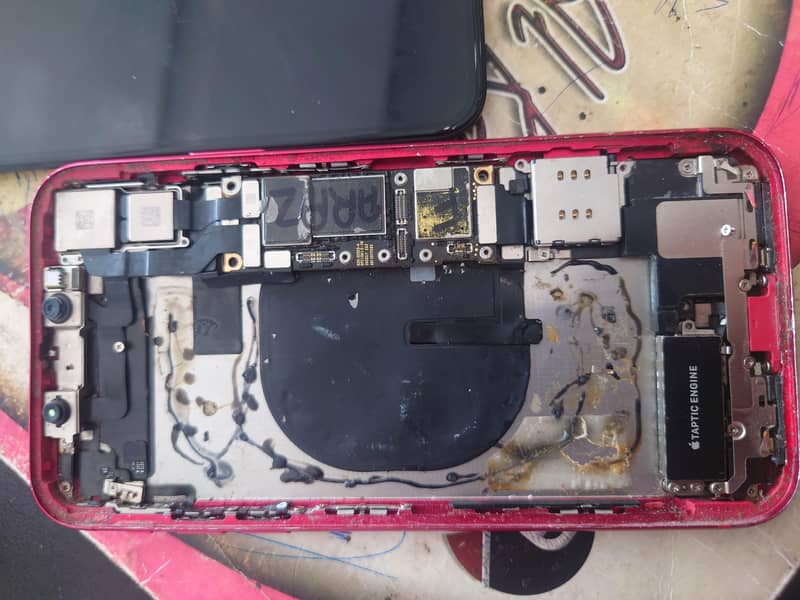 Apple iPhone 11 2