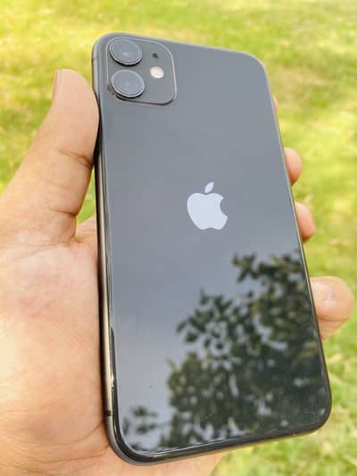 iPhone 11