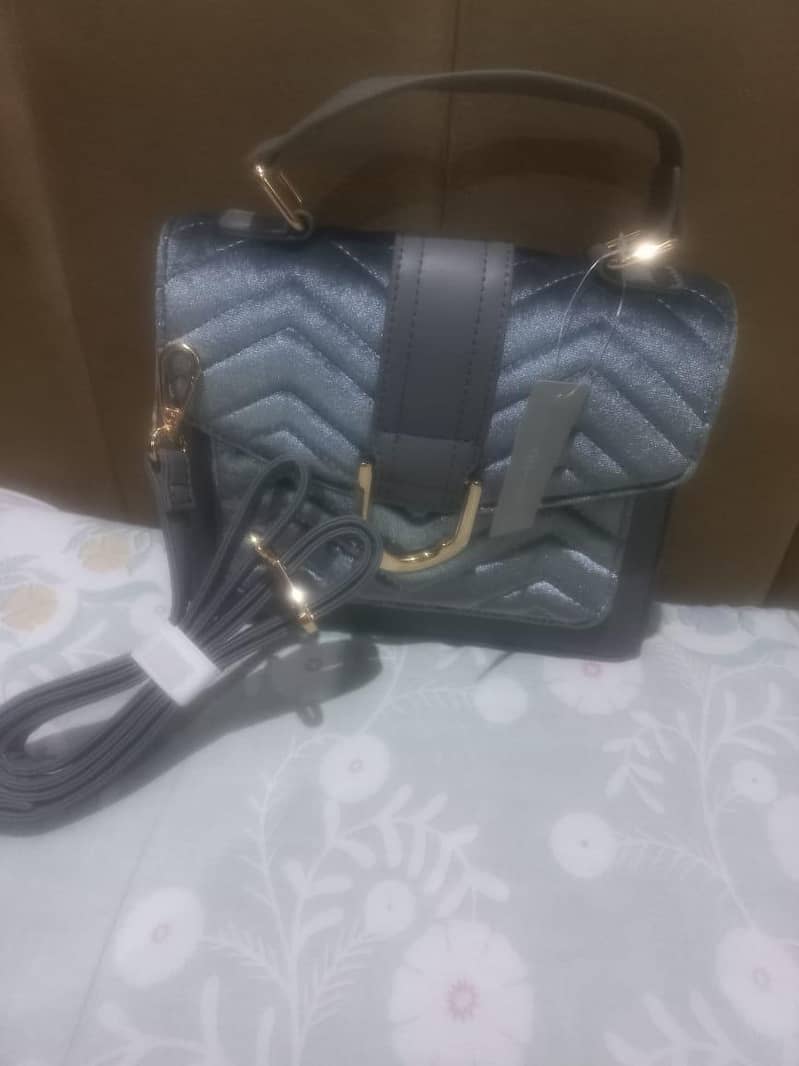 hand bag 1