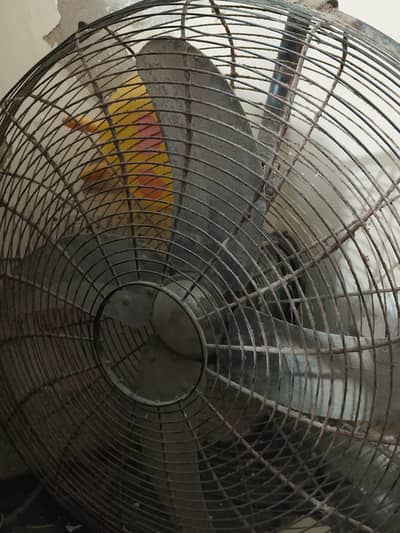 bracket fan for sale