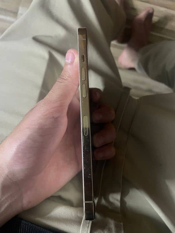 iphone 12 pro max 1