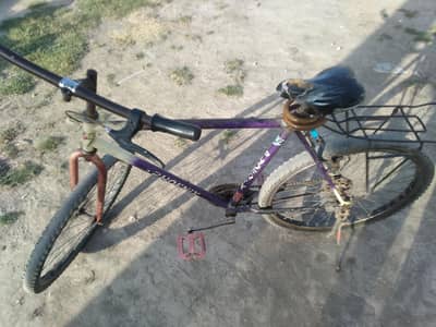 Phoenix Cycle 26 " inches urgent for sale
