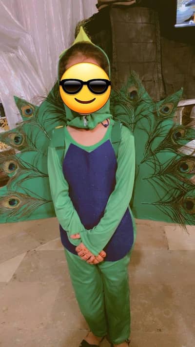 I want to sale peacock costume