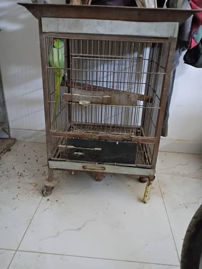 Two cage