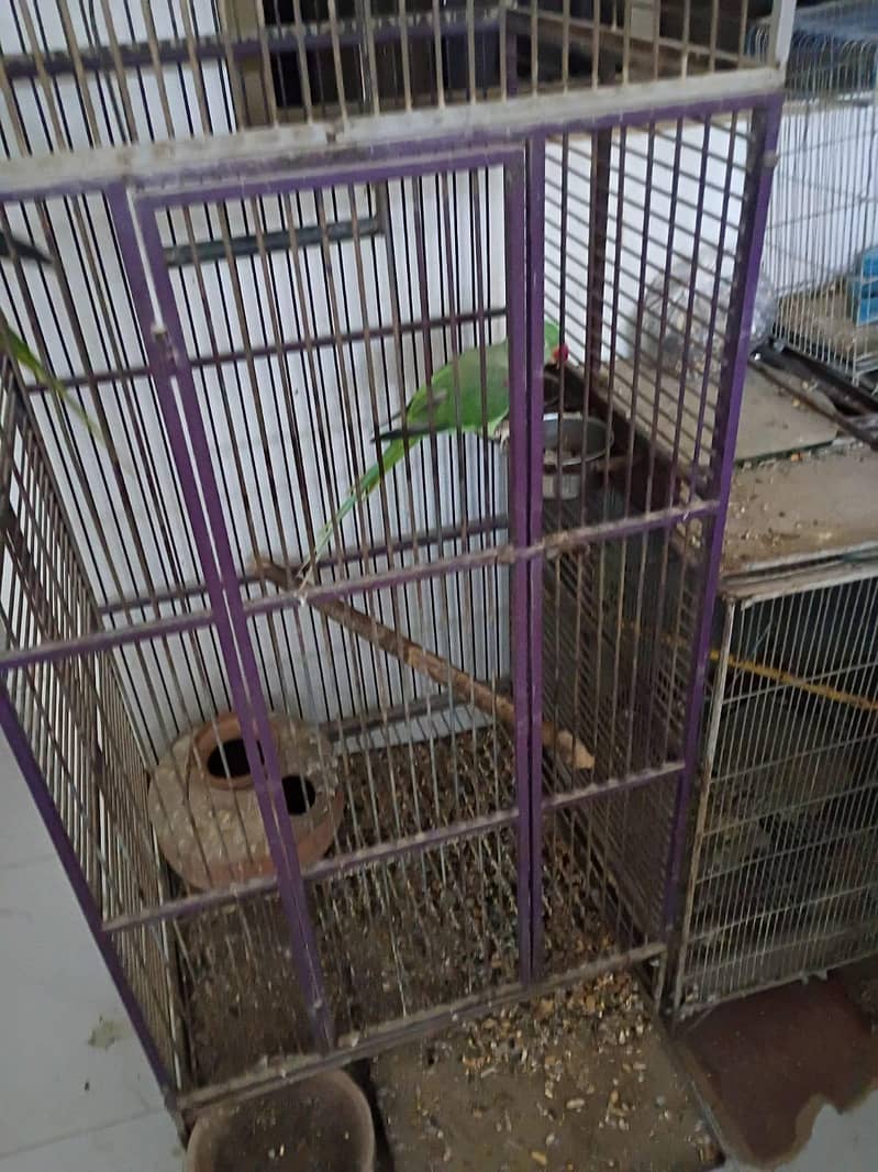 Two cage 1