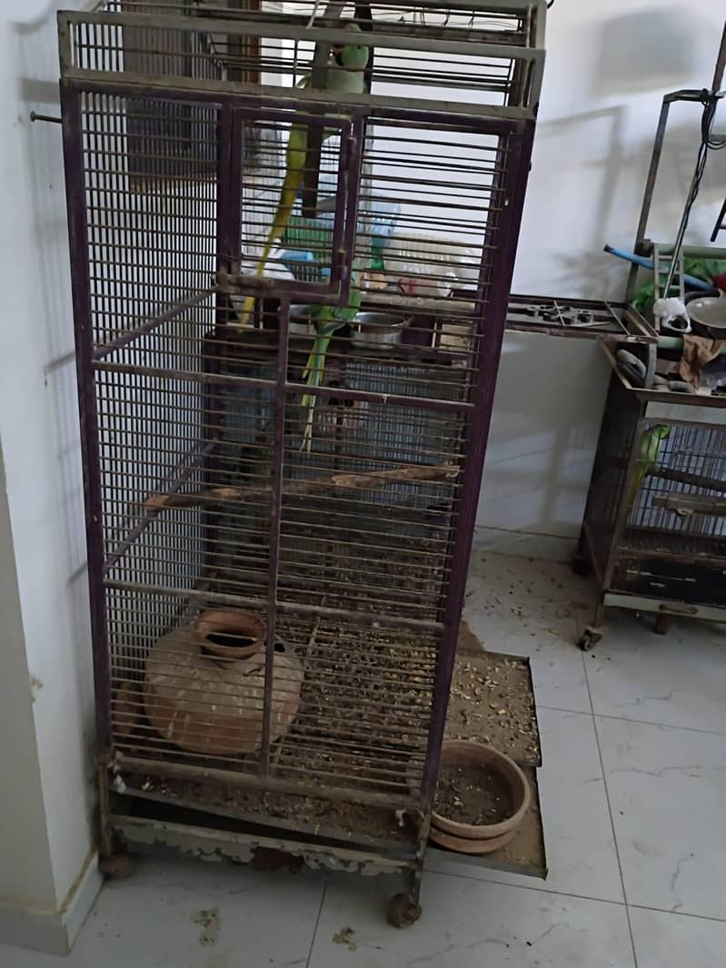 Two cage 3
