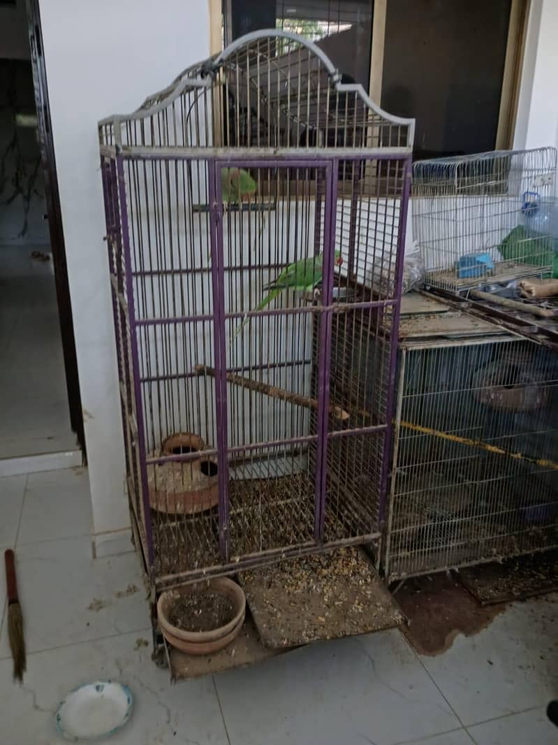 Two cage 4