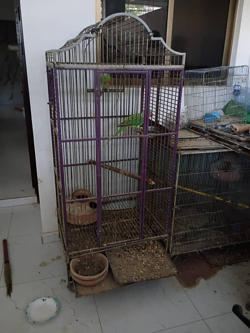 Two cage 6