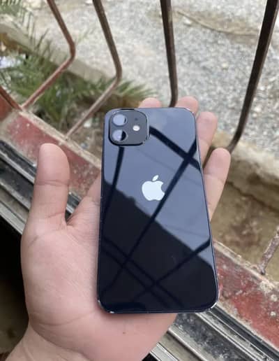 Iphone 12 dual pyisical approved