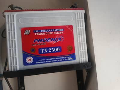 Almost new tall tublar  battery for sale 10months warranty TX 2500