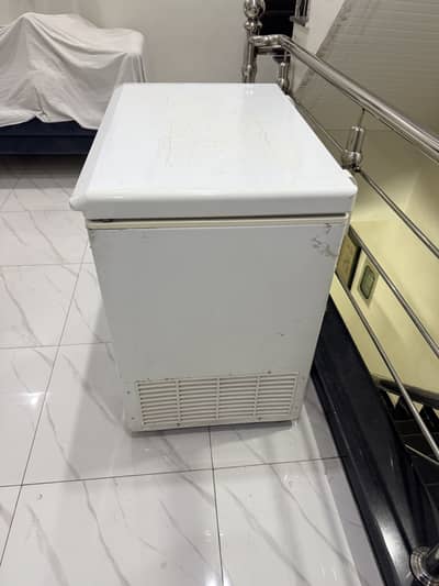 Pel Freezer One door