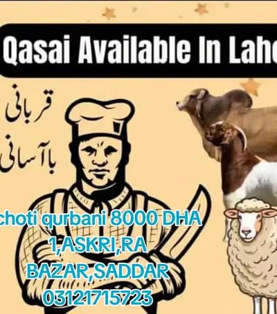 only choti qurbani ky liye rabta karan price 8000 cell no 03121715723