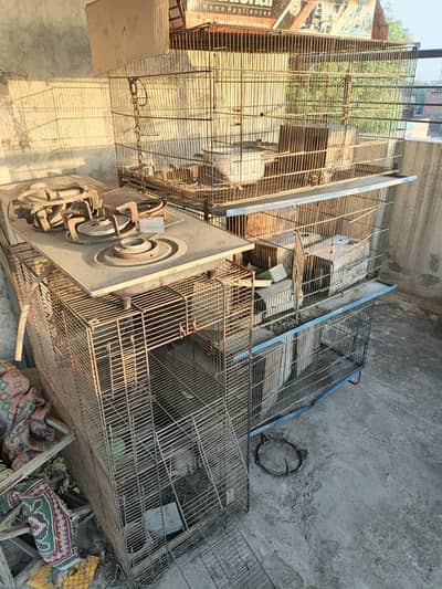 4 cages in row