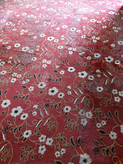 Wall to wall room Carpet