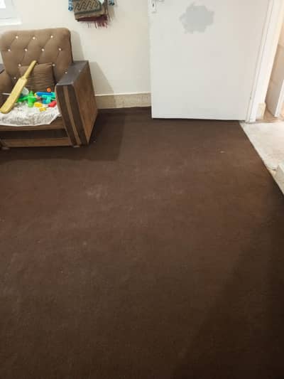 Carpet + Foam Size 18x16 ft