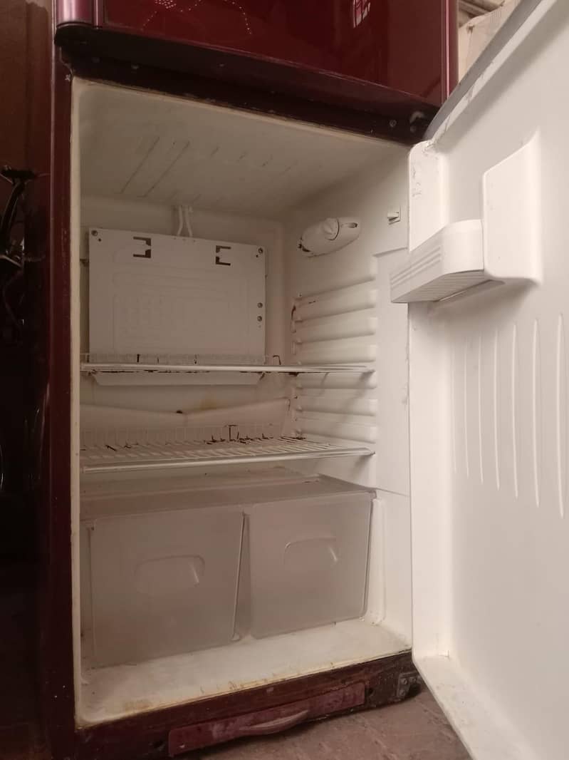 fridge 6