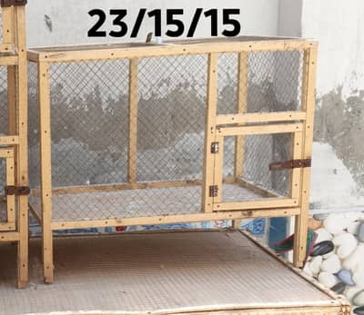 birds cages