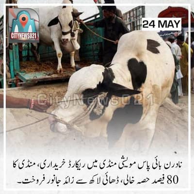 qasai available