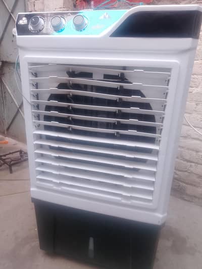 Fresh cool