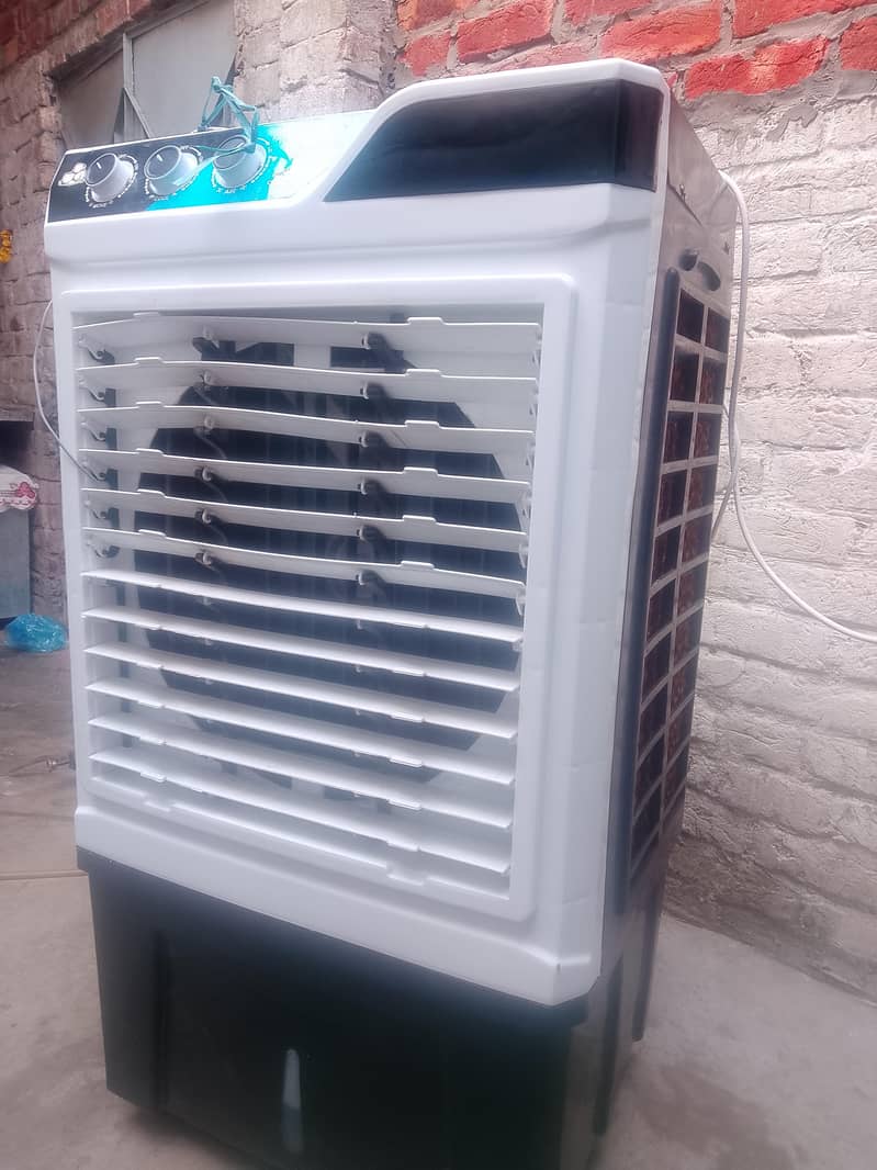Fresh cool 1