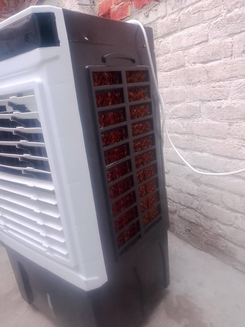 Fresh cool 2