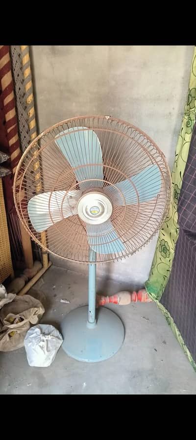 Super Asia Fan