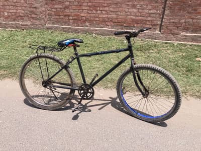 giant cycle