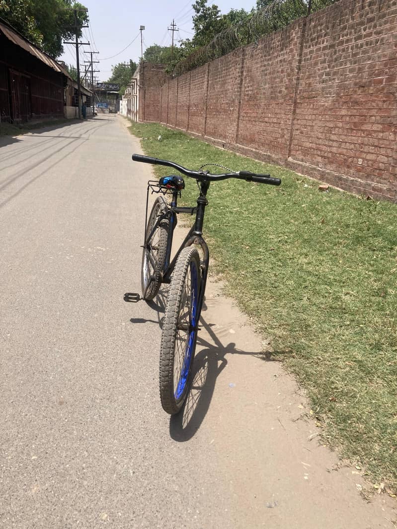 giant cycle 1