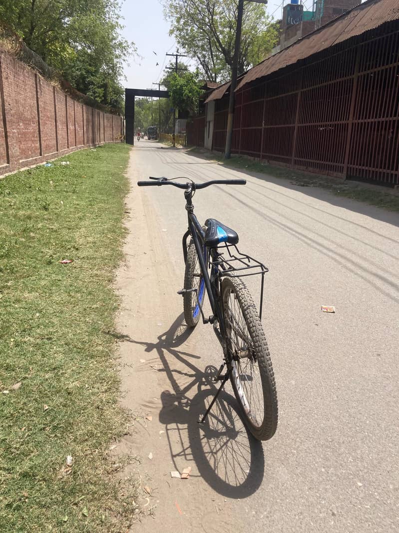 giant cycle 3