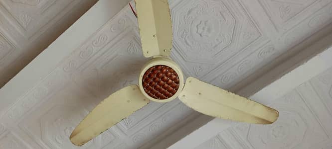chilling fan