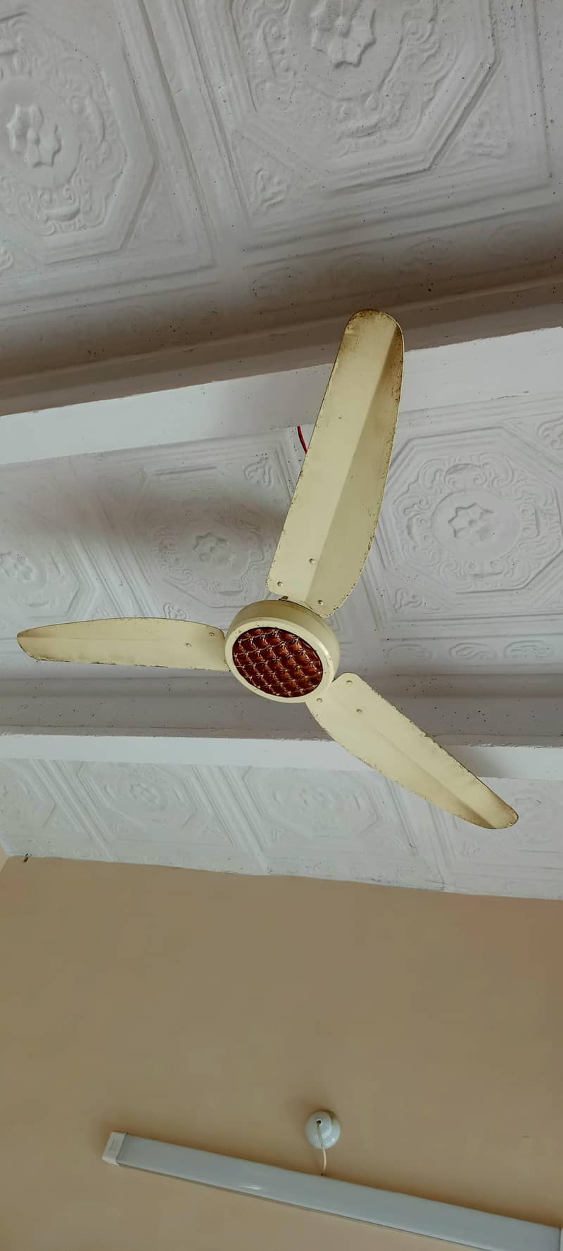 ceiling fan 1