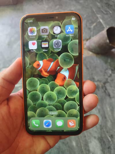 iphone XR convert 17 pro max 2 manth sem working
