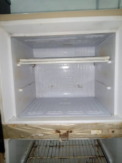 waves fridge