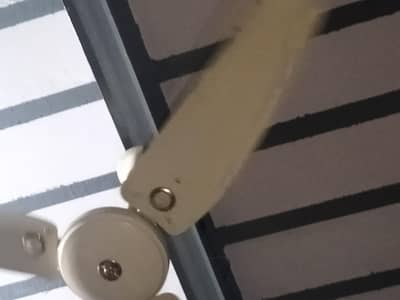 celling fane