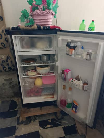 pel refrigerator